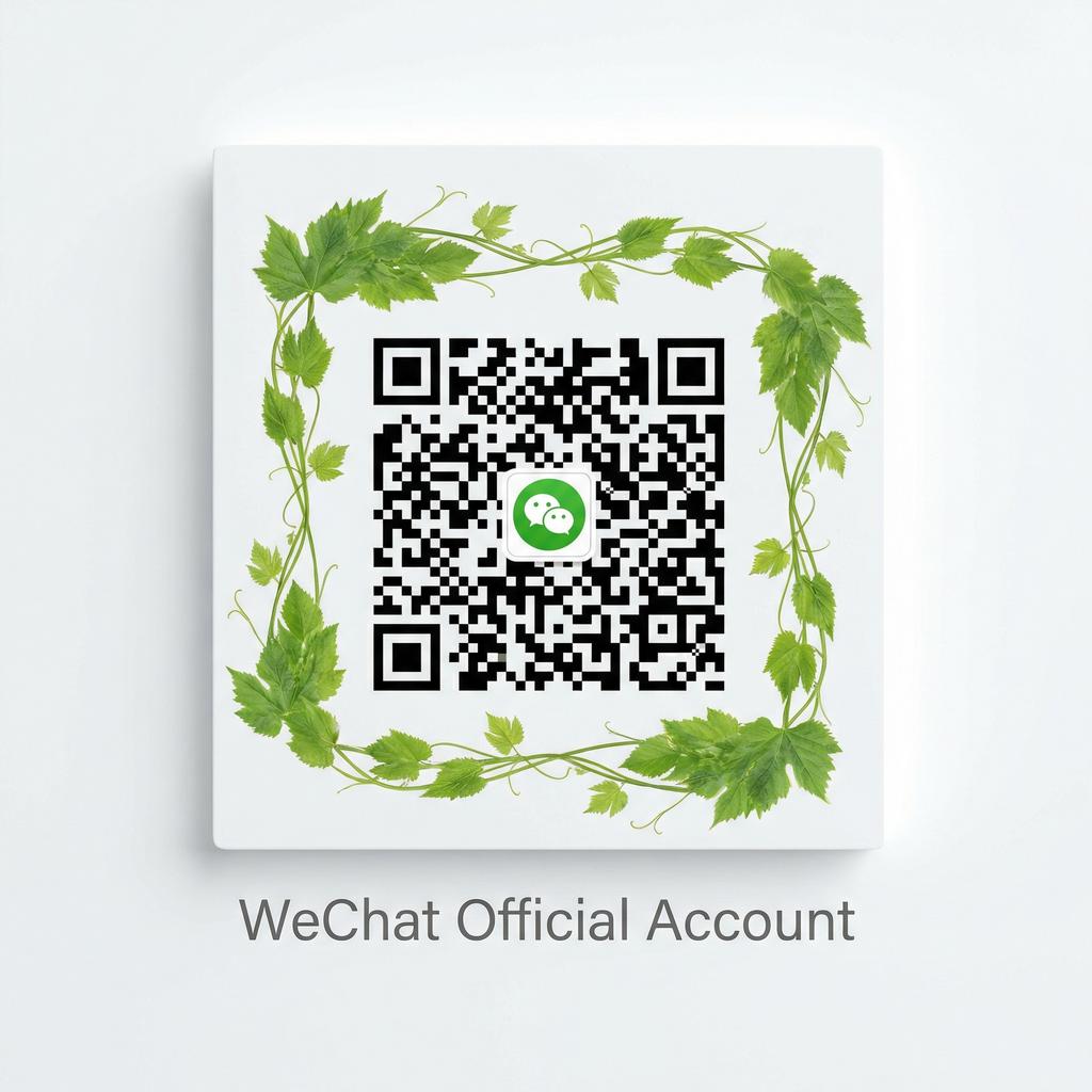 寸止挑战公众号二维码